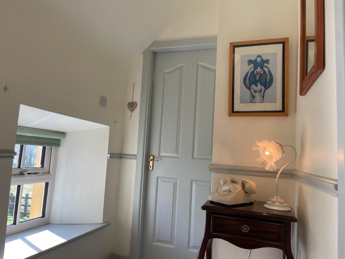 Mai'S Cottage Suite - Charming Holiday Rental Kilmallock Buitenkant foto